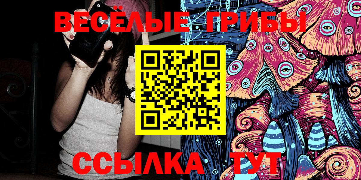 Псилоцибиновые грибы Psilocybe  Вход с VPN  Братск 