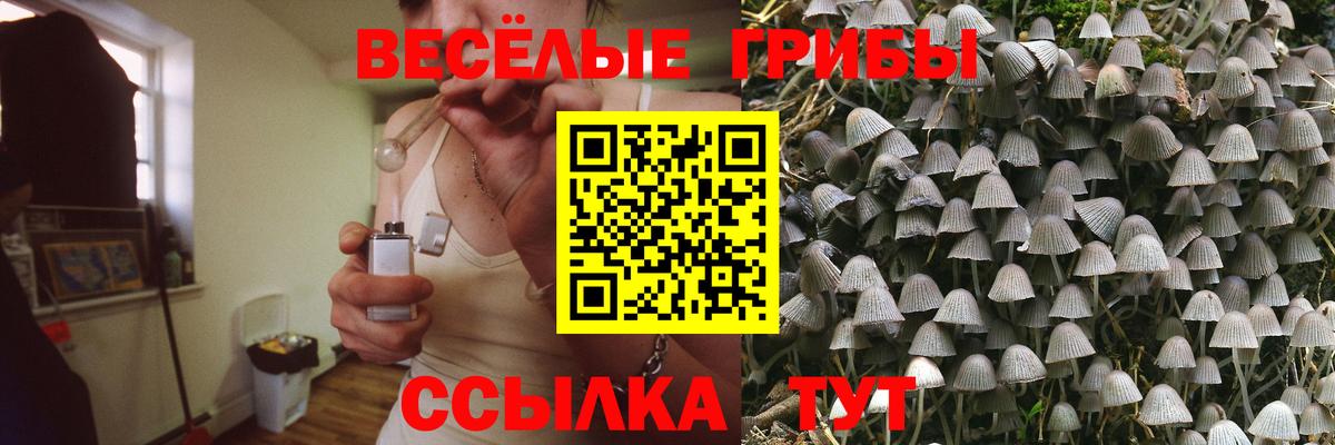 Псилоцибиновые грибы GOLDEN TEACHER Братск